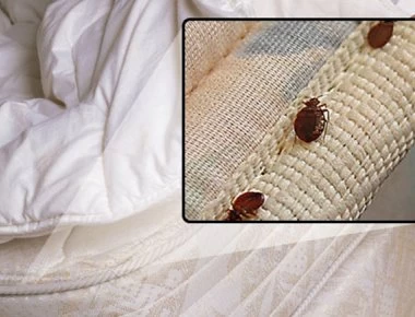 Πώς να καθαρίσετε το στρώμα του κρεβατιού σας από τα ακάρεα;